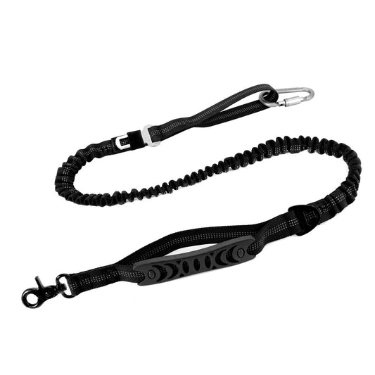 The Zero Shock Dog Leash & Seatbelt