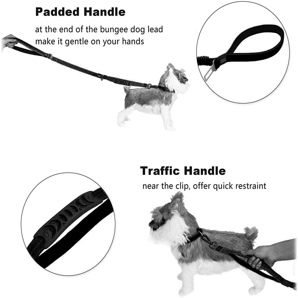 The Zero Shock Dog Leash & Seatbelt