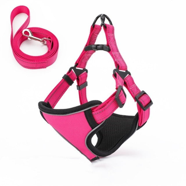 Vest Harness & Dog Leash