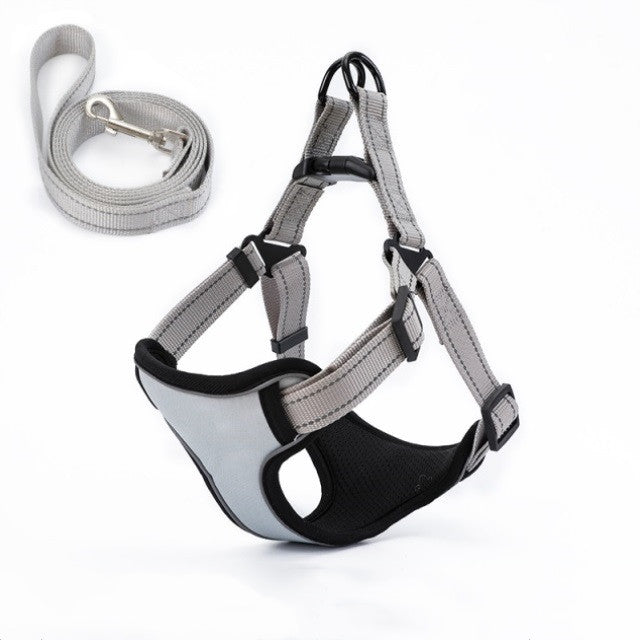 Vest Harness & Dog Leash