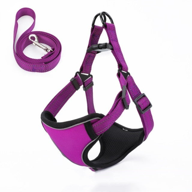 Vest Harness & Dog Leash