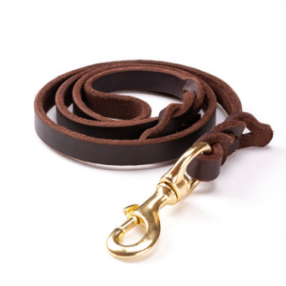 Leather & Rope Dog Leash