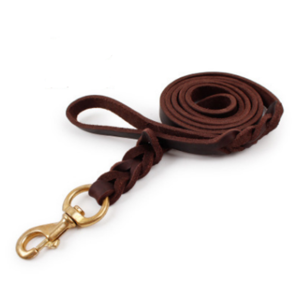 Leather & Rope Dog Leash