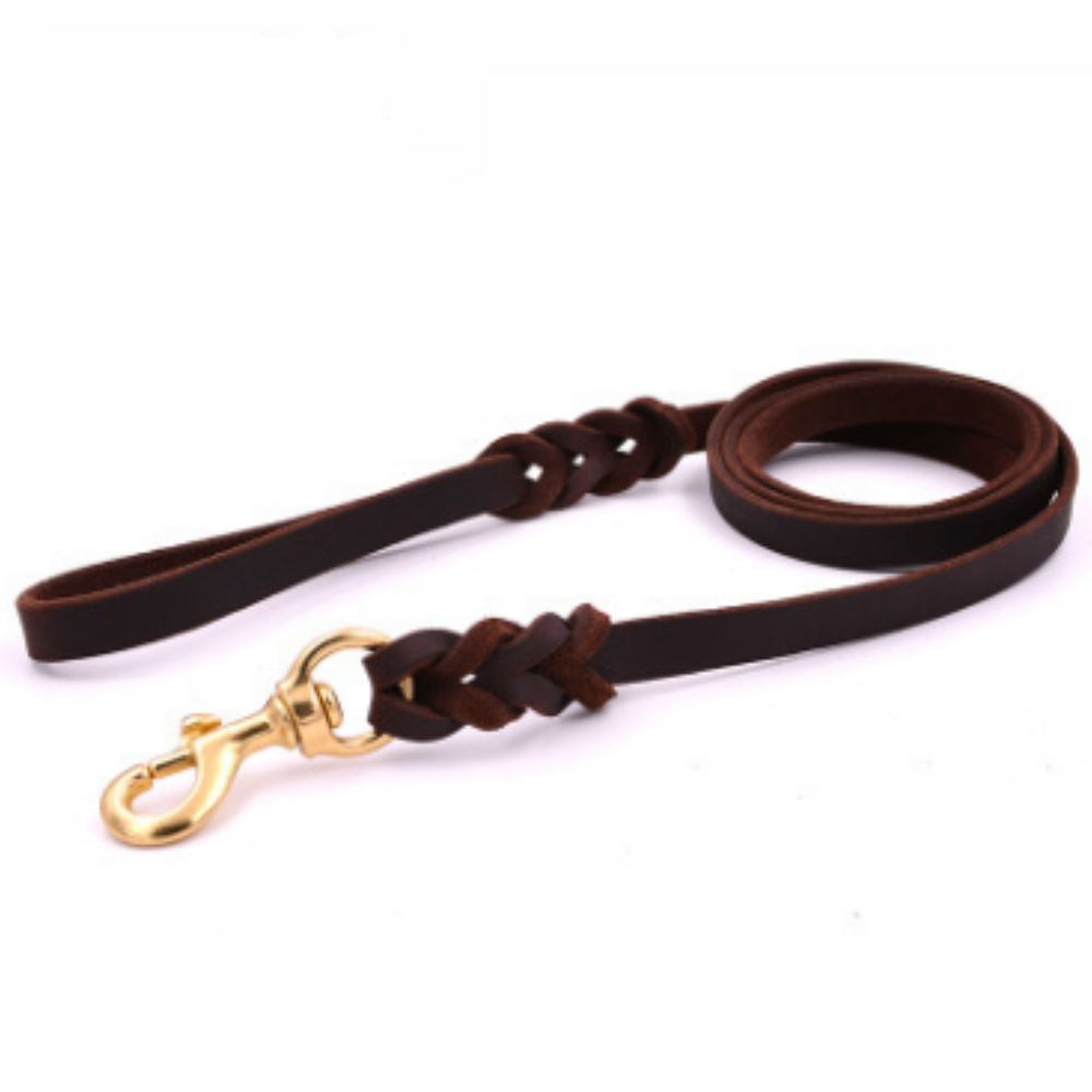 Leather & Rope Dog Leash