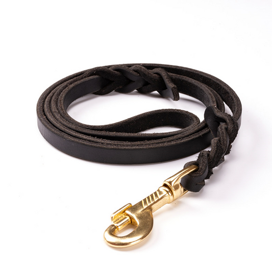 Leather & Rope Dog Leash