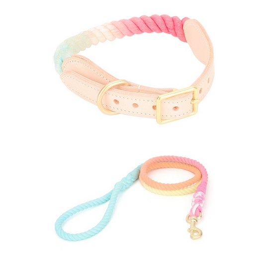 Traction Rope Dog Collar & Leash