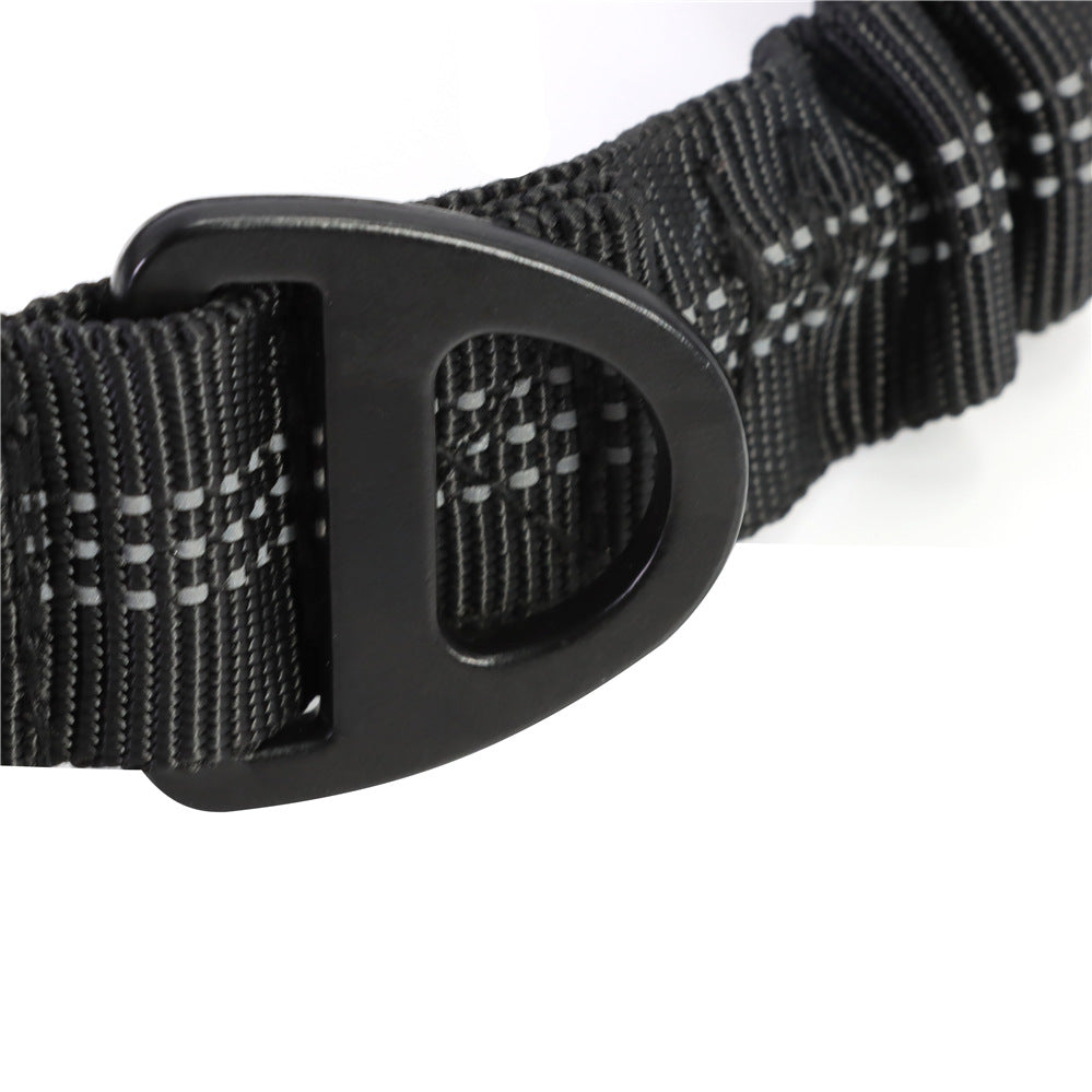 The Zero Shock Dog Leash & Seatbelt